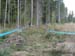 DSCN0968