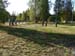 DSCN1007